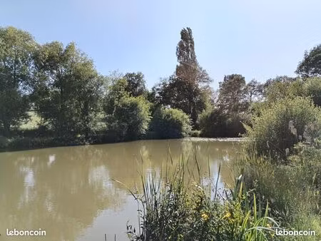 terrain de loisir avec étang