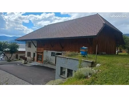 maison spacieuse et rénovée + grand garage et cave