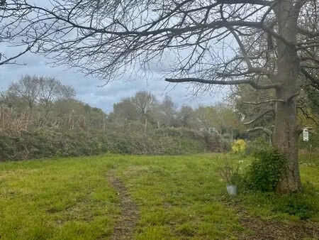 250m2 sur terrain arboré - potager  artisanat...