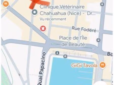 location parking port de nice