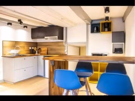 appartement rénové  calme  en centre ville