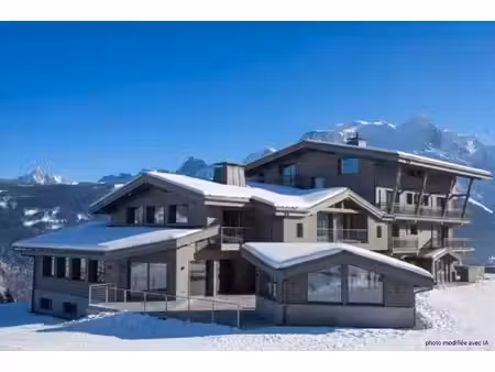 fonds de commerce à vendre chamonix-mont-blanc