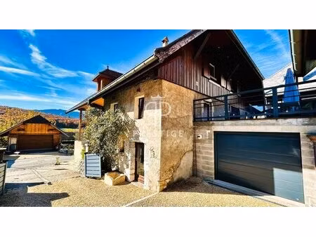 achat : maison (74290)