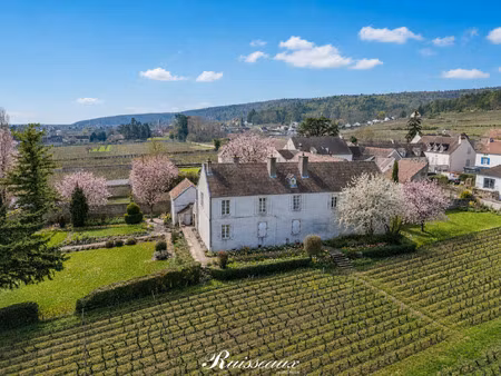 achat maison 8 pièces 310m² fixin 21220