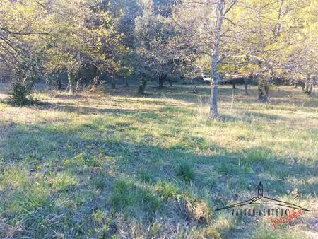 terrain arboré de 1350 m2 avec permis de constuire pour une habitation de 100m2  un...