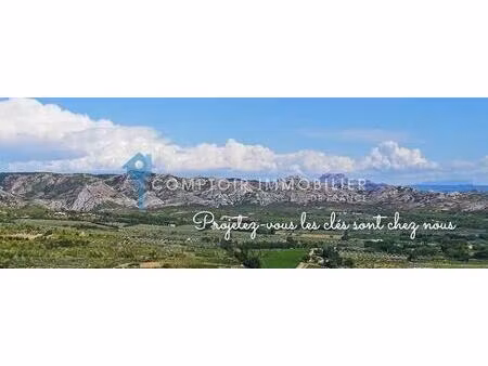 dpt(13) st remy de provence a vendre mas a renover entierement