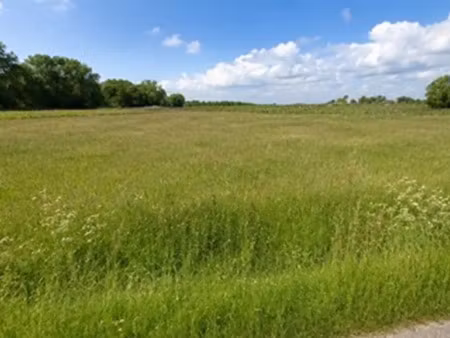 vente terrain 1320 m² saint-savin (33920)