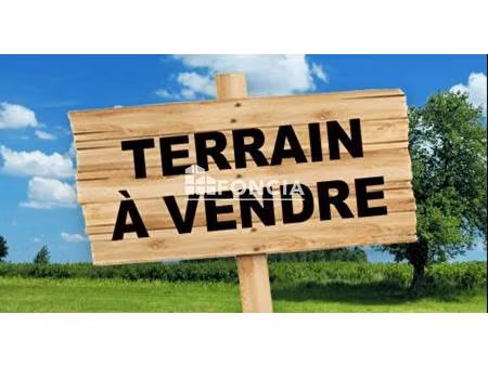 terrain constructible