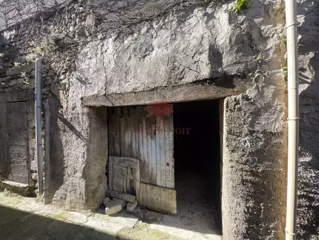 remise de 37m2 environ avec une cave de 30m2