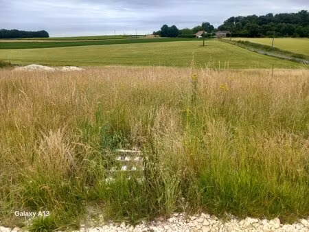 terrain à bâtir à saint-germain-de-vibrac (17500)