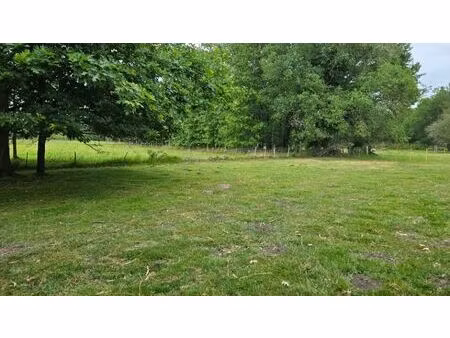 vente terrain 1500 m² saint-savin (33920)