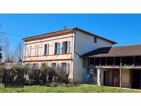maison de caractère t7 - dépendances - grange - terrain 9608 m2 - impasse - centre ville
