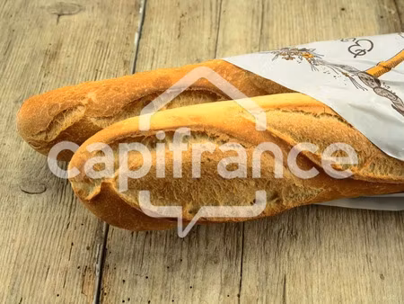 vente commerce 5 pièces 440 m² la séguinière (49280)