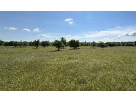 vente terrain à construire 1900 m² camps-la-source (83170)
