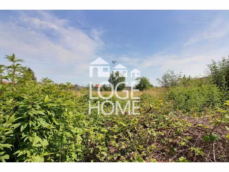 vente terrain 1039 m² la bassée (59480)
