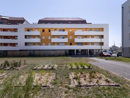 appartement t4