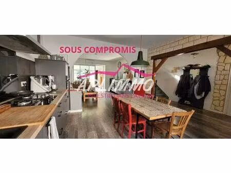 maison avec belles terrasses