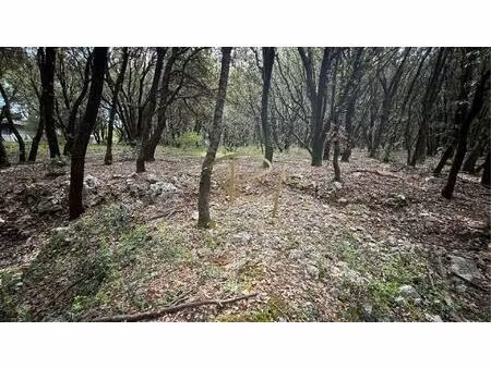terrain à bâtir sud ardèche