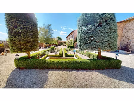 vente propriété 18 pièces 613 m² à vézelin-sur-loire (42590)  1 280 000 €