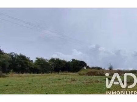 vente terrain à montabard (61160) : à vendre / 3300m² montabard