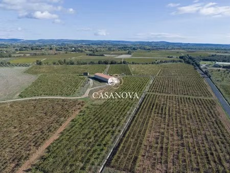 vente terrain à saint-andré-de-sangonis (34725)  598 000 €