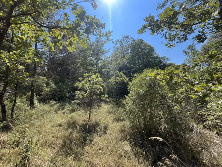 a vendre terrain constructible au calme 1762 m2 83470 saint