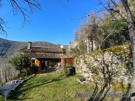 maison en pierre avec jardin