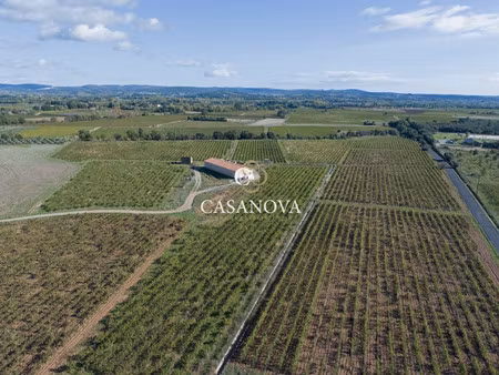 propriété à vendre à saint-andré-de-sangonis