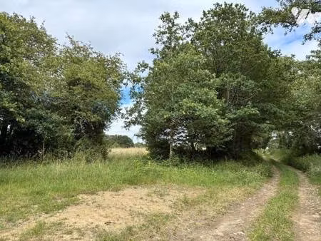 terrain à vendre
