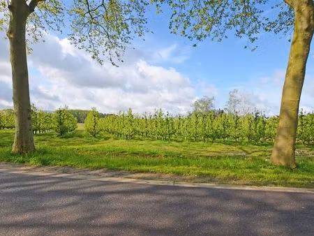 terrain à vendre à hasselt € 660.000 (l41tr) - boes & boes residentieel vastgoed | zimmo