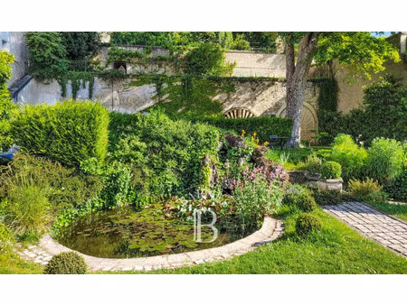 maison de luxe à vendre à montrichard