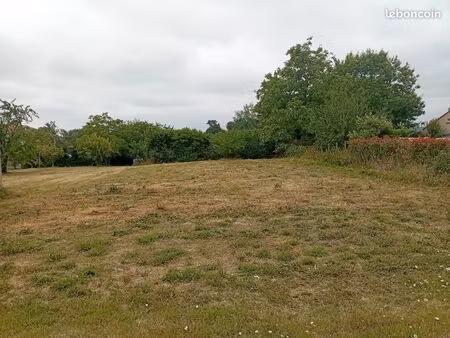 terrain constructible