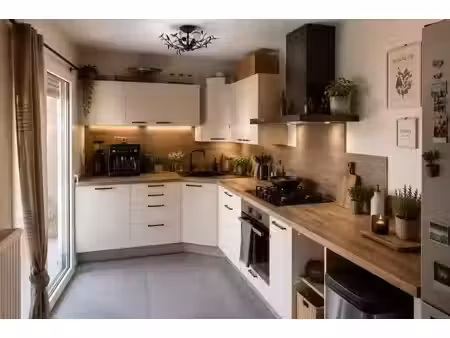 vente appartement 5 pièces 180 m² fontaines-saint-martin (69270)