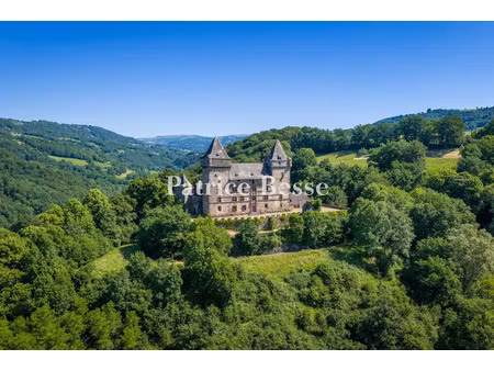vente château 13 pièces 1070 m² à vic-sur-cère (15800)  1 400 000 €