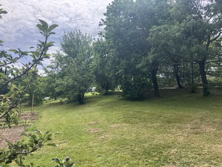 terrain non viabilisé au calme