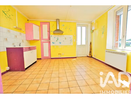 vente maison 2 pièces 50 m² ouzouer-sur-trézée (45250)