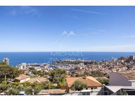 villa neuve proche monaco