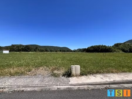terrain
