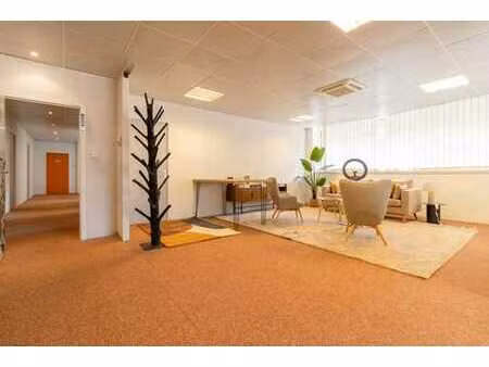 bureaux aménagés-cloisonnés 200 m² + cave 83 m² + 4 p