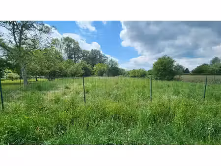 terrain à bâtir entre lorris et bellegarde - 1580 m²