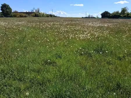 terrain