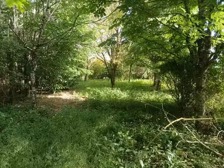 vente terrain 3135 m² le vigan-en-quercy (46300)