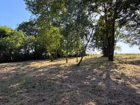 vente terrain 871 m² saint-dizier (52100)