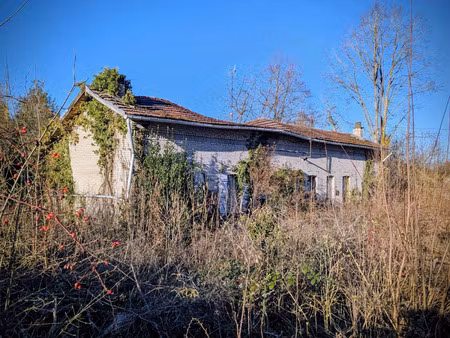 vente terrain 2567 m² cormicy (51220)