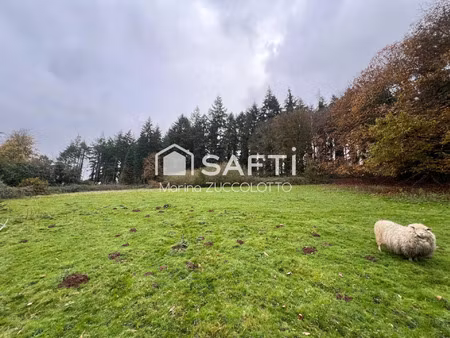 vente terrain 12583 m² ménéac (56490)