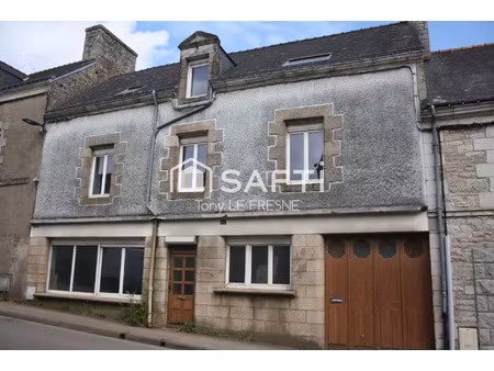 vente immeuble 130 m² baud (56150)