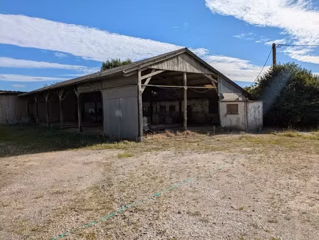 vente commerce 4 pièces 519 m² séglien (56160)