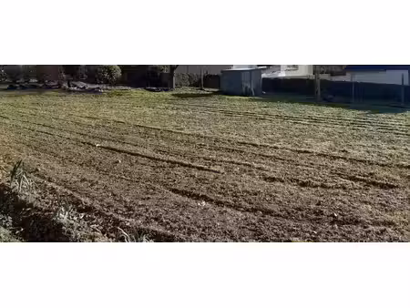 terrain