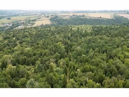 forêt 40 hectares