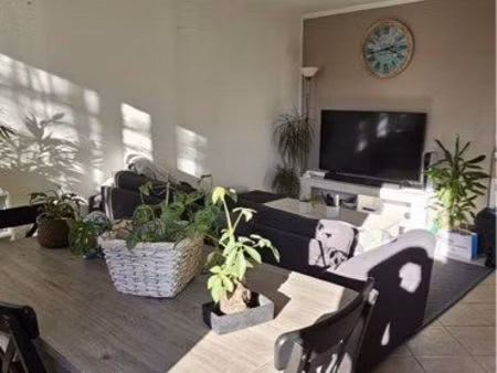 location appartement t3 tourves